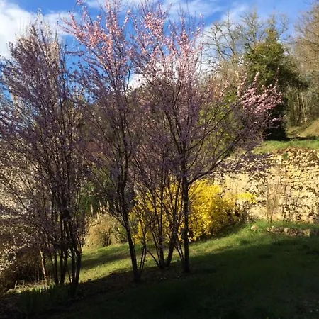 Homestay La Maison Carree - De Charme - Clim & Piscine Chauffee Les Eyzies