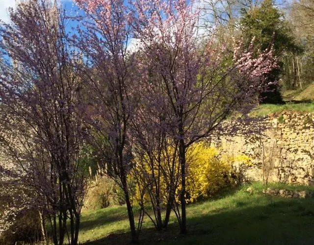 Ubytování v soukromí La Maison Carree - De Charme - Clim & Piscine Chauffee Les Eyzies